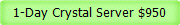 1-Day Crystal Server $950